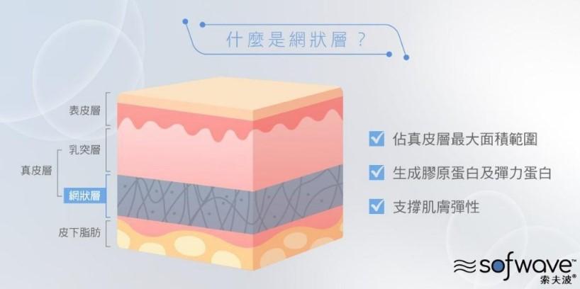 皮膚層示意圖,突顯負責膠原蛋白和彈性蛋白生成的網狀真皮層,維持皮膚彈性。與 Sofwave音波拉提相關。