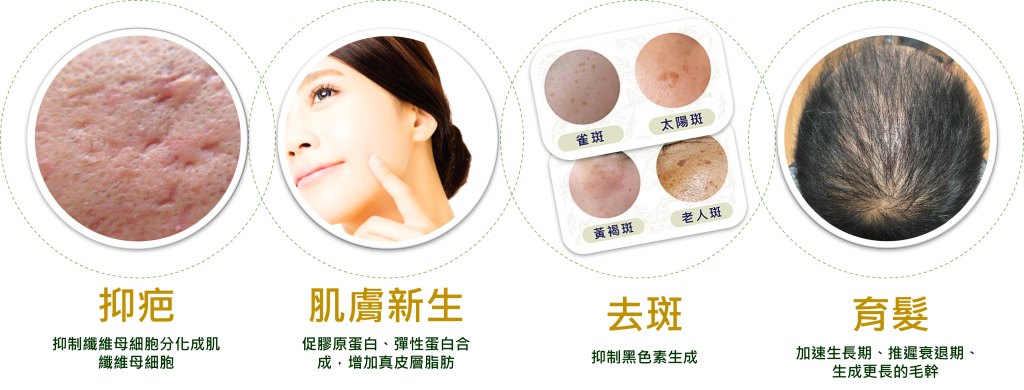 揭開外泌體與幹細胞的神秘面紗