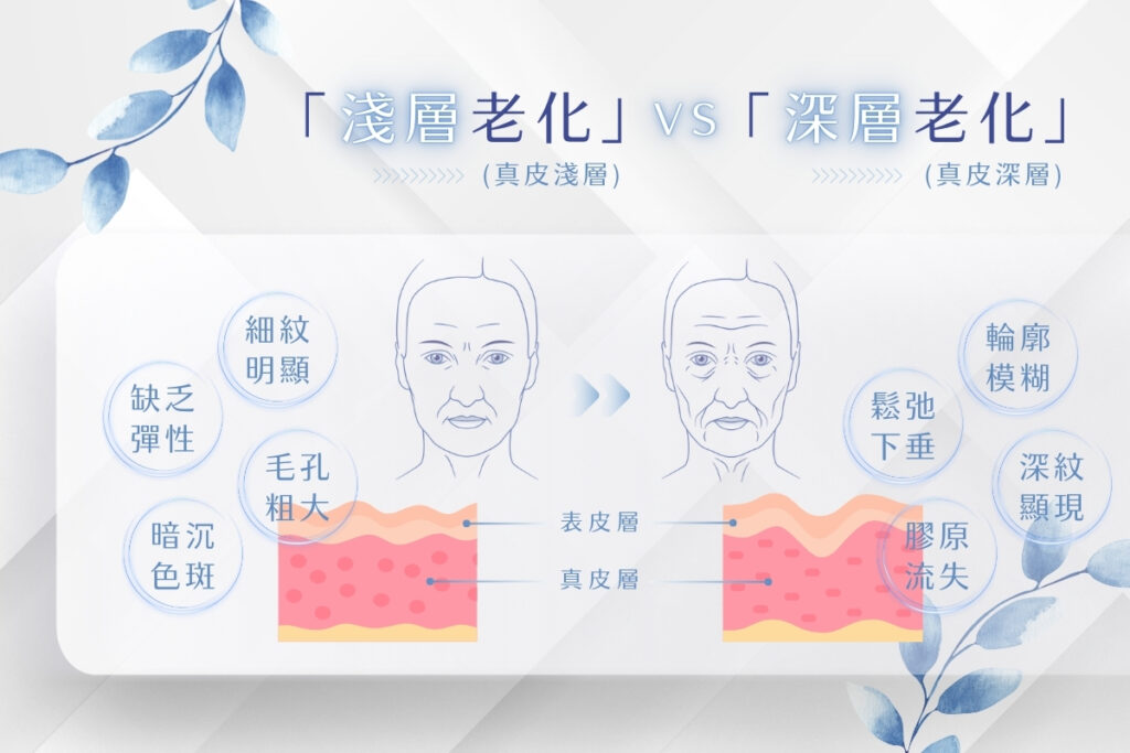 淺層老化 vs 深層老化：細紋、毛孔粗大、輪廓模糊、膠原流失。真皮淺層與深層老化比較圖。