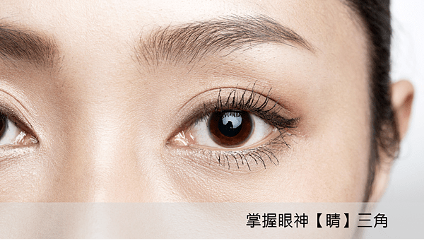 女人眼睛的特寫; 目光明亮、年輕。 掌握目光三角