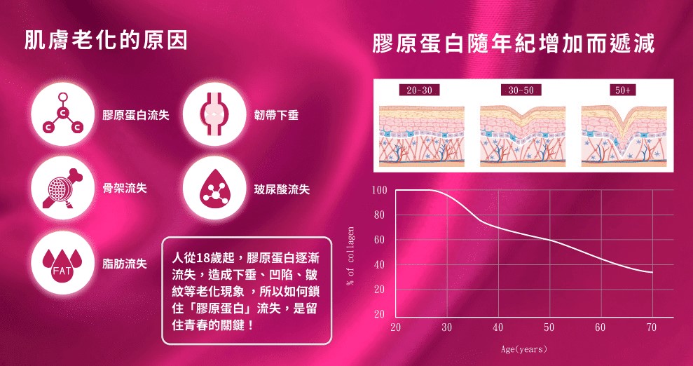 資訊圖表：膠原蛋白流失導致肌膚老化。顯示膠原蛋白會隨著年齡增長而減少，影響肌膚彈性。非常適合母親節童妍針護理。
